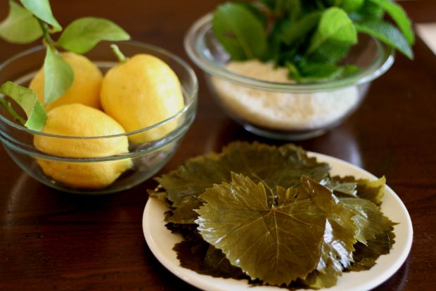 Photo: saludnapa@Flickr