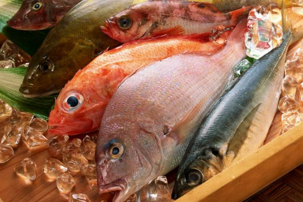 Photo: aqualifeforyou.blogspot.com