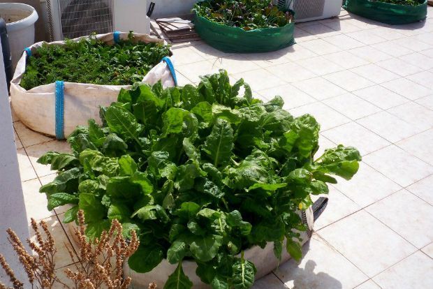 photo: Άντυ Παξινός