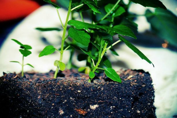 Photo: markr82@Flickr