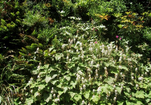 Photo: Caixa Forum-detail