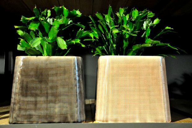 Φωτό: Δάφνη Κουγέα