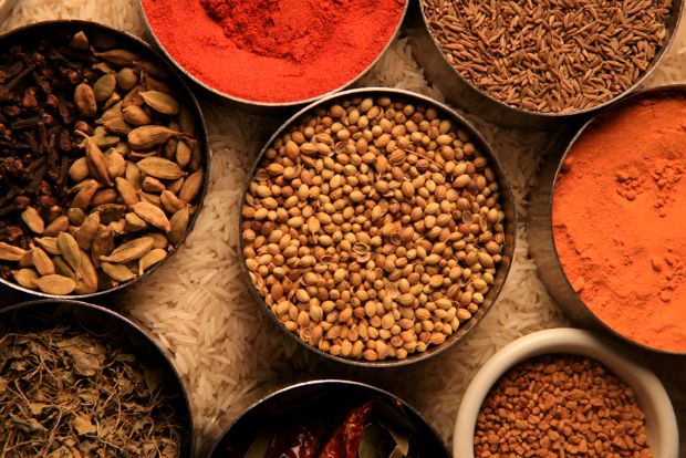 Photo: whysallphotography.com