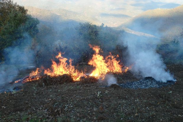 photo: Ηλίας Προβόπουλος