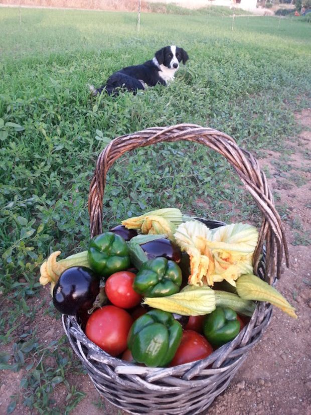 photo: Εύα Παρακεντάκη