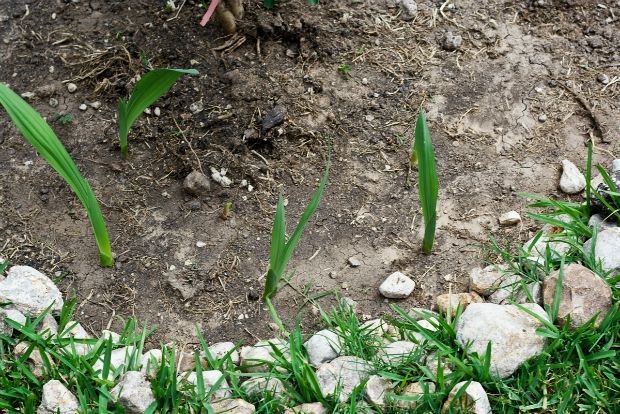 Photo: Leetistan@Flickr