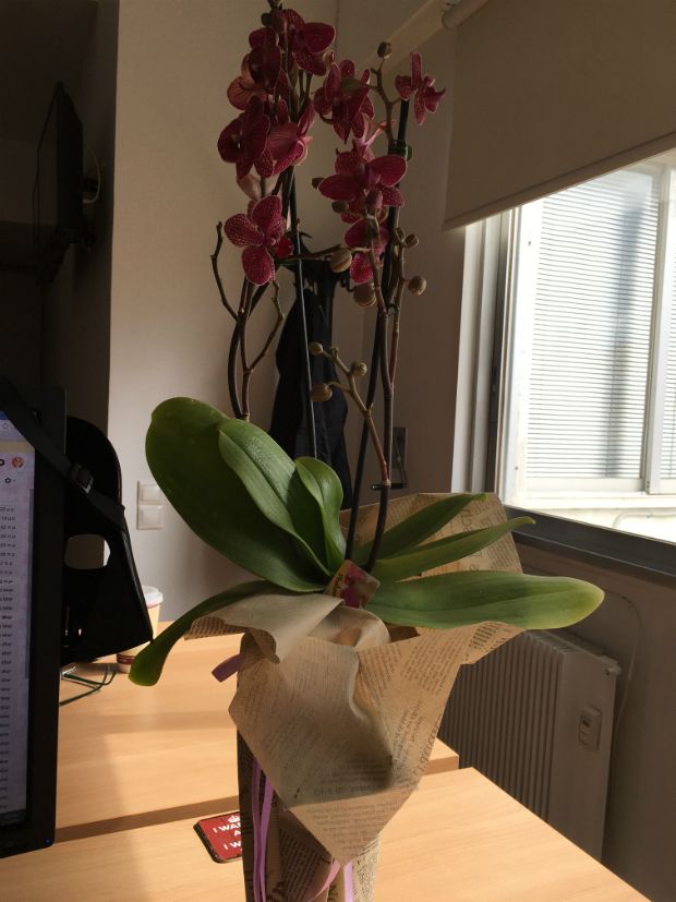 photo: Στέλλα Αλαφούζου