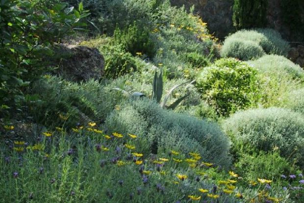 Photo: mediterraneangardensocietygreece.org