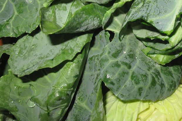 [photo: Νίκος Μορόπουλος]