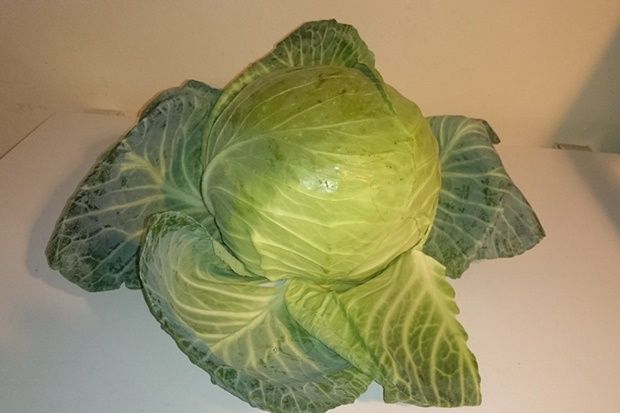 [photo: Νίκος Μορόπουλος]