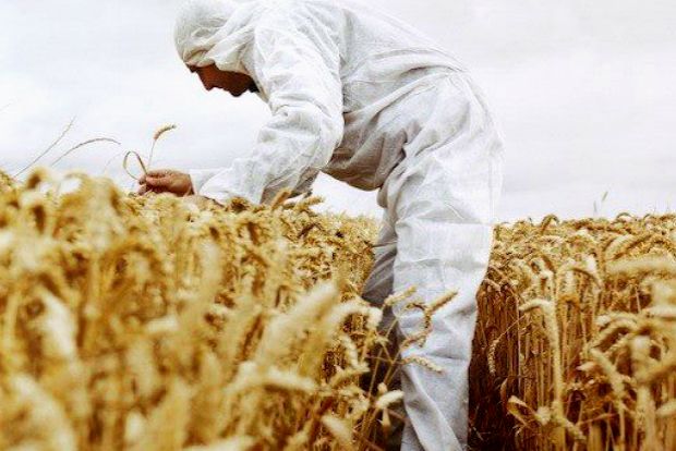 Phoito: chelsearicher.com