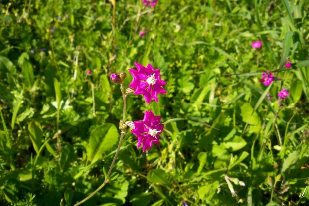 photo: Άντυ Παξινός