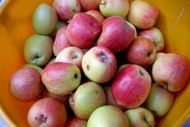 photo: Φιλάρετος Ψημμένος