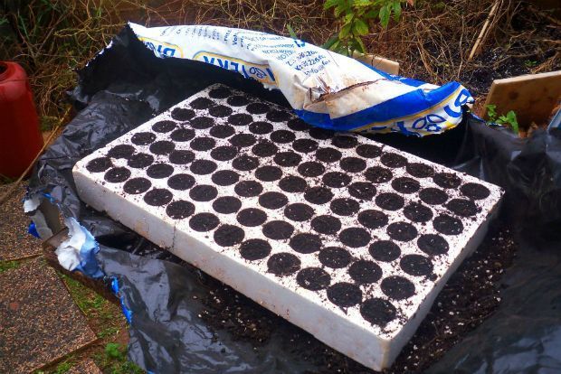 photo: Άντυ Παξινός