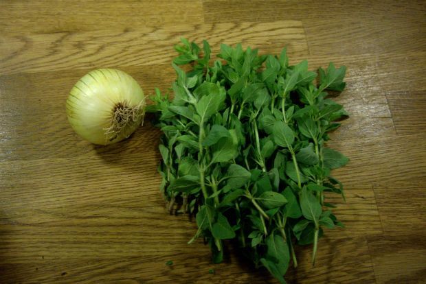 φωτό: Φιλάρετος Ψημμένος