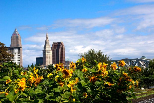 Photo: landscapevoice.com