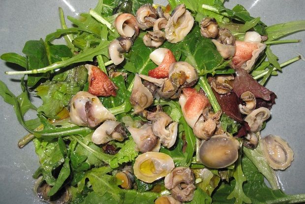 [photo: Νίκος Μορόπουλος]