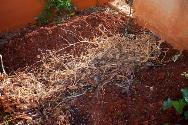 photo: Άντυ Παξινός