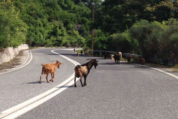 φωτό: Κική Τριανταφύλλη