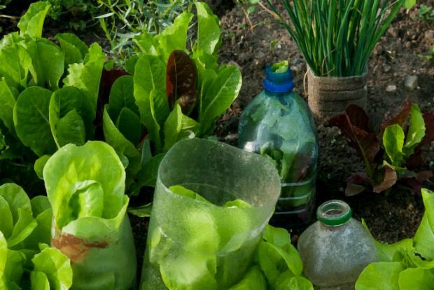 Photo: alanbuckingham@Flickr