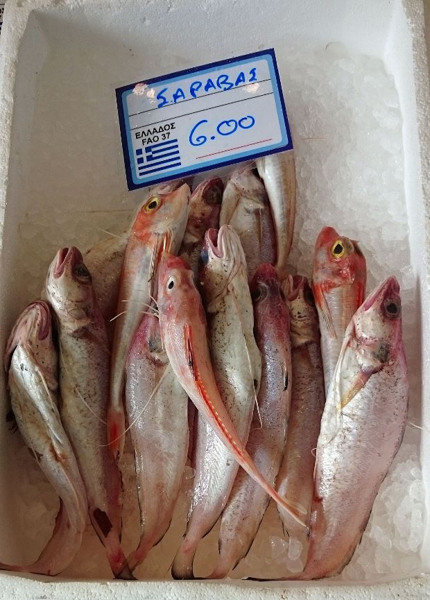 photo: Νίκος Μορόπουλος