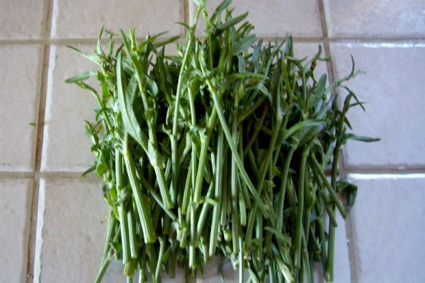 Ραδικοβλάσταρα καθαρισμένα