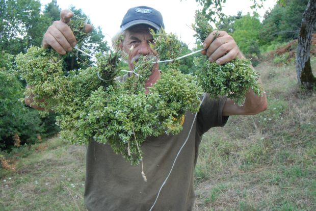 photo: Ηλίας Προβόπουλος