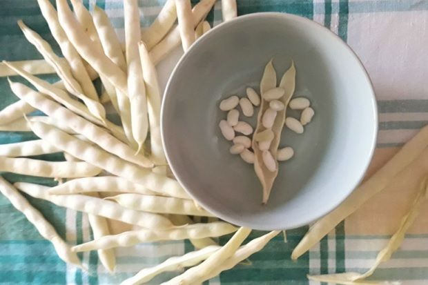 (photo: Κική Τριανταφύλλη)