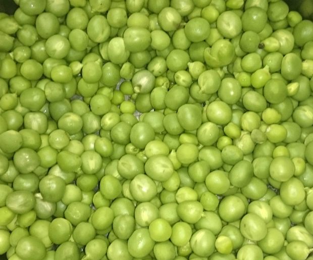 Ωμά μπιζέλια, photo: Νίκος Μορόπουλος