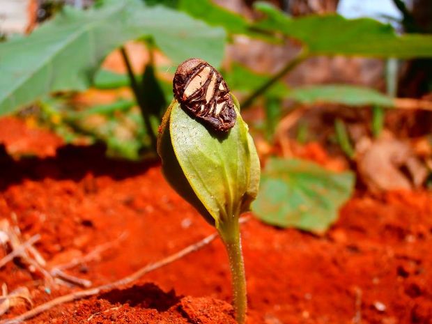 photo: Άντυ Παξινός