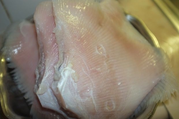 [photo: Νίκος Μορόπουλος]