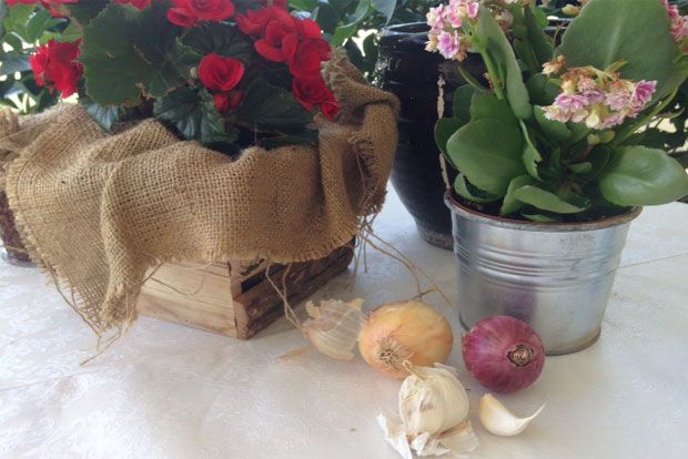 φωτo: Κική Τριανταφύλλη