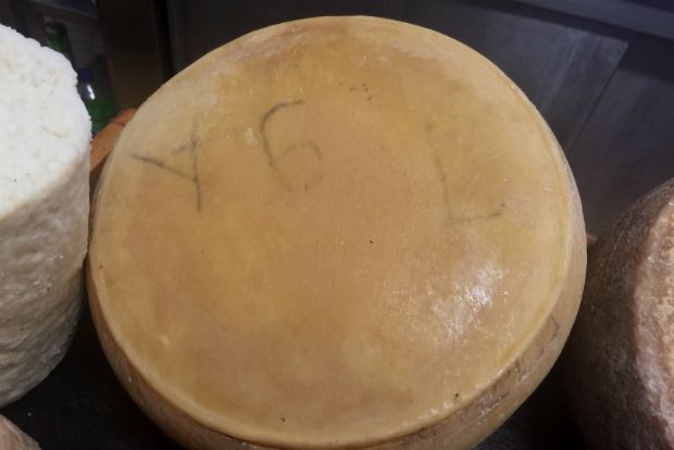 Γραβιέρα/φωτό: Δημήτρης Μπούτος