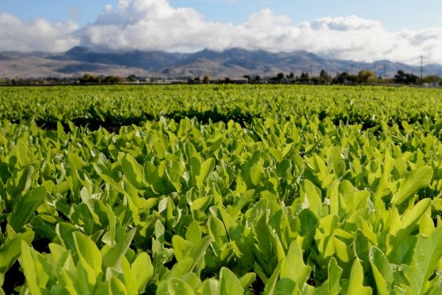 Photo: cahealthreport@Flickr