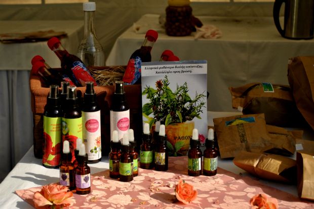 Photo: Giorgos Zachos, pagonisoils.gr