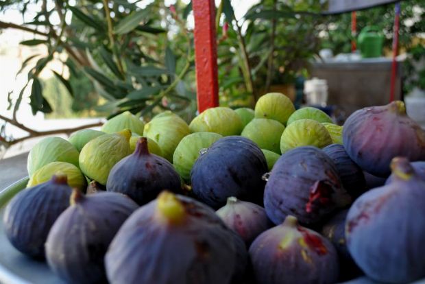 Photo: vladimir-911@Flickr