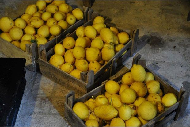 photo: Περικλής Λάσκαρις