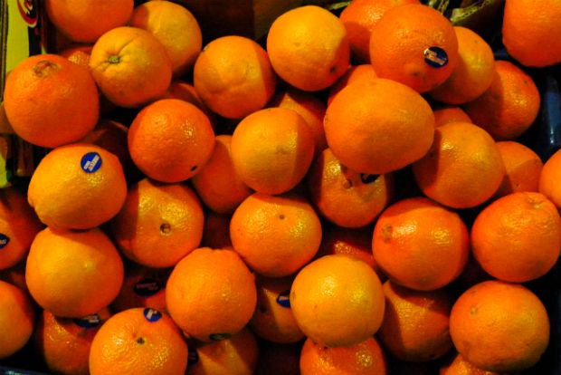 Φωτο: Σπύρος Αμοιρόπουλος