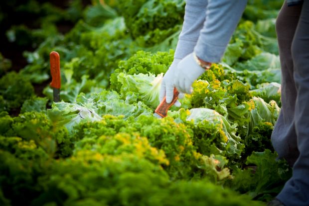 Photo: antjan@Flickr