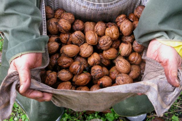 photo: Ηλίας Προβόπουλος
