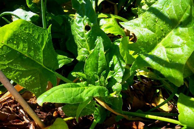 photo: Άντυ Παξινός