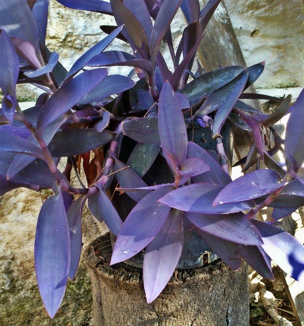 photo: Μαρία Πετρίδη