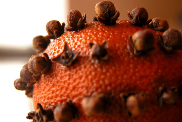 Photo: platoisboring@Flickr