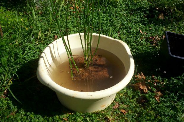 photo: Άντυ Παξινός