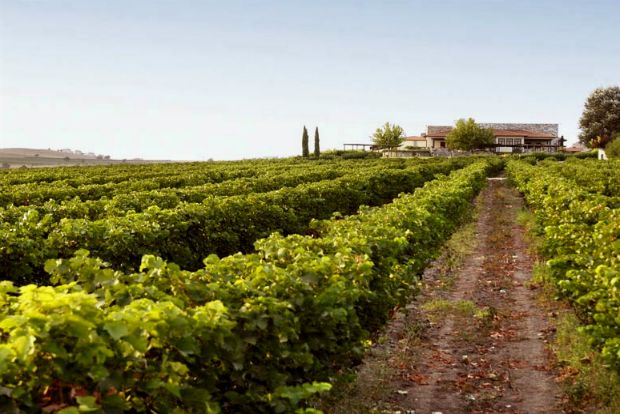 Photo: premiumgreekwines@Flickr