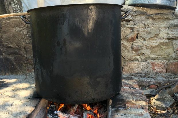 photo: Ιωάννης Καμπούρης