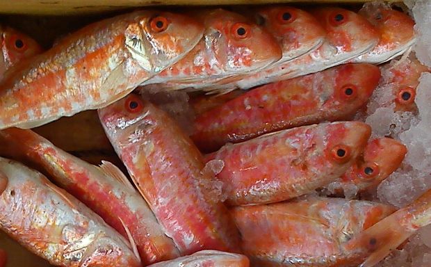 Photo: Μορόπουλος Νίκος