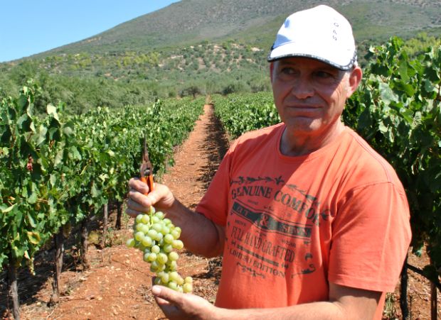 photo: Άννα Γαλανού