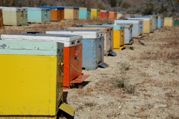 Photo: detmolddick@Flickr