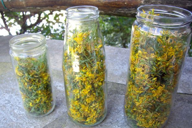 Στο βάζο / φωτό: Φιλάρετος Ψημμένος